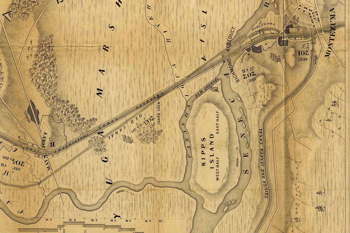 1862 Cayuga Marsh Map
